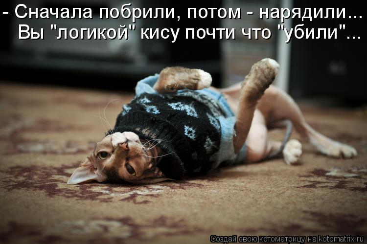 Котоматрица: - Сначала побрили, потом - нарядили... Вы "логикой" кису почти что "убили"...