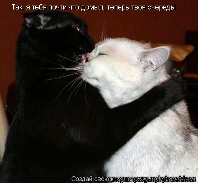 Котоматрица: Так, я тебя почти что домыл, теперь твоя очередь!