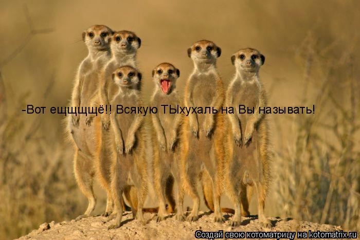 -Вот ещщщщё!! Всякую ТЫхухаль на Вы называть!... Котоматрица: -Вот ещщщщё!! Всякую ТЫхухаль на Вы называть!