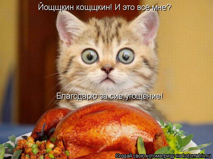 Йощщкин кощщкин! И это всё мне? Благодарю за сие угощение!... Котоматрица: Йощщкин кощщкин! И это всё мне? Благодарю за сие угощение!