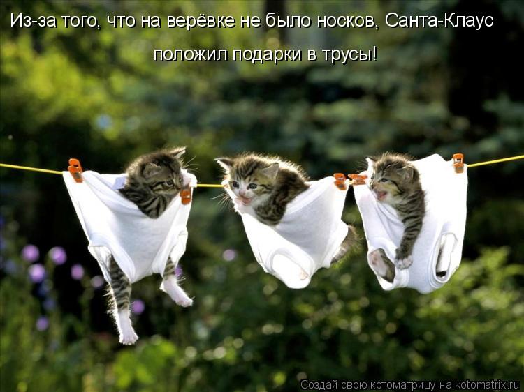 Из-за того, что на верёвке не было носков, Санта-Клаус положил подарки в трусы!... Котоматрица: Из-за того, что на верёвке не было носков, Санта-Клаус положил подарки в трусы!