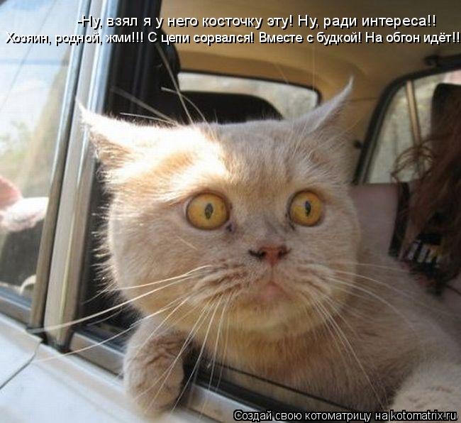 -Ну, взял я у него косточку эту! Ну, ради интереса!! Хозяин, родной, жми!!! С цепи сорвался! Вместе с... Котоматрица: -Ну, взял я у него косточку эту! Ну, ради интереса!! Хозяин, родной, жми!!! С цепи сорвался! Вместе с будкой! На обгон идёт!!!