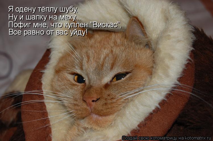 Я одену тёплу шубу, Ну и шапку на меху... Пофиг мне, что куплен "Вискас", Все равно от вас уйду!... Котоматрица: Я одену тёплу шубу, Ну и шапку на меху... Пофиг мне, что куплен "Вискас", Все равно от вас уйду!