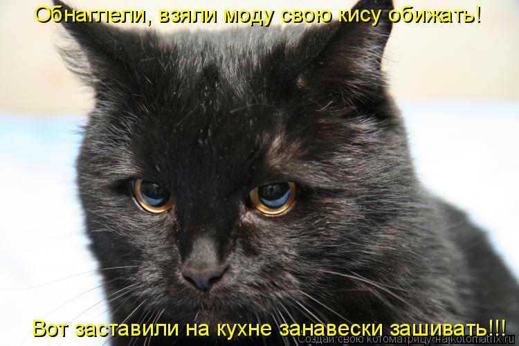Обнаглели, взяли моду свою кису обижать! Вот заставили на кухне занавески зашивать!!!... Котоматрица: Обнаглели, взяли моду свою кису обижать! Вот заставили на кухне занавески зашивать!!!