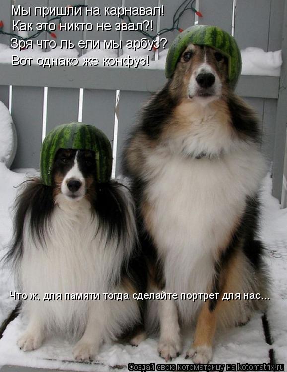 Мы пришли на карнавал! Как это никто не звал?! Зря что ль ели мы арбуз? Вот однако же конфуз! Что ж, ... Котоматрица: Мы пришли на карнавал! Как это никто не звал?! Зря что ль ели мы арбуз? Вот однако же конфуз! Что ж, для памяти тогда сделайте портрет для нас...