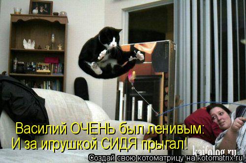 Котоматрица: Василий ОЧЕНЬ был ленивым: И за игрушкой СИДЯ прыгал!