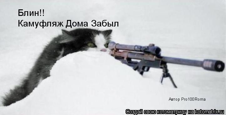 Котоматрица: Блин!! Камуфляж Дома Забыл Автор Pro100Roma