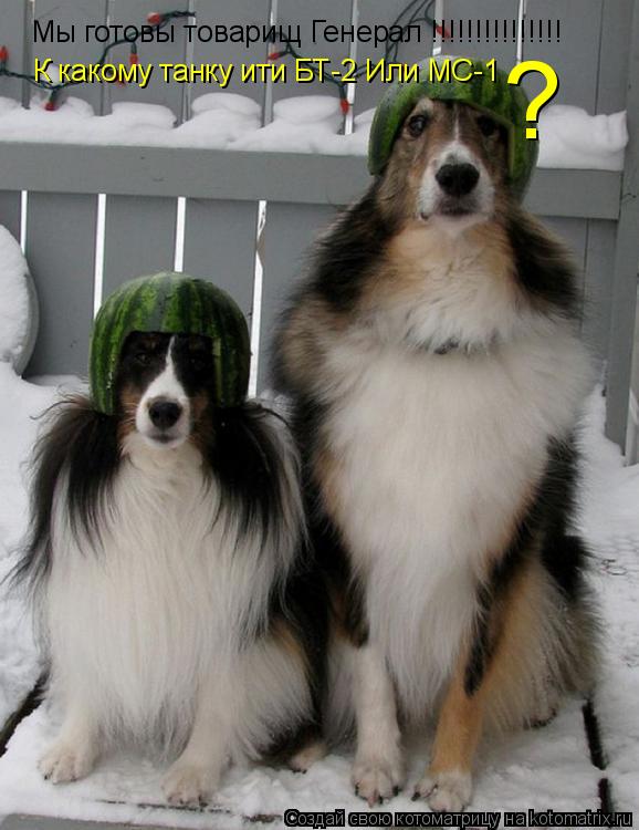Котоматрица: Мы готовы товарищ Генерал !!!!!!!!!!!!!!!  К какому танку ити БТ-2 Или МС-1 ?