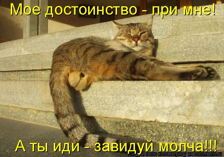 Котоматрица: Мое достоинство - при мне! А ты иди - завидуй молча!!!