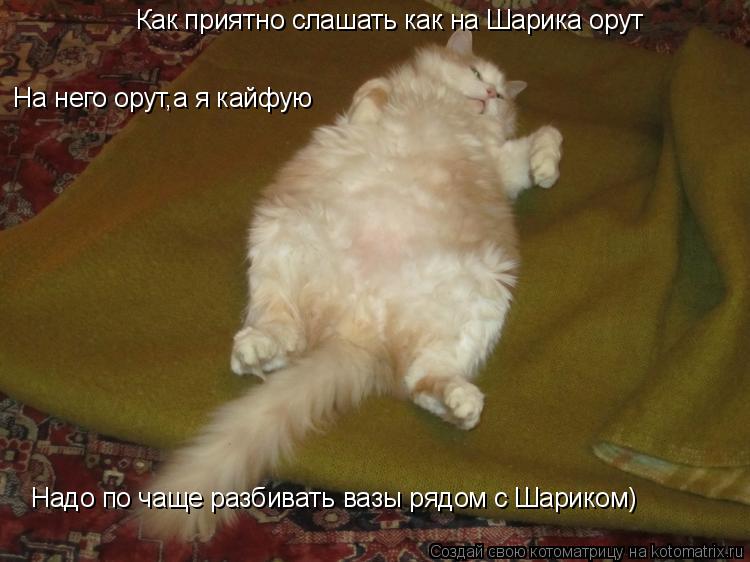 Котоматрица: Как приятно слашать как на Шарика орут На него орут,а я кайфую Надо по чаще разбивать вазы рядом с Шариком)