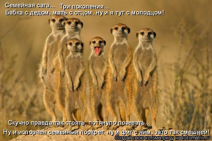 Котоматрица: Семейная сага... Три поколения... Бабка с дедом, мать с отцом, ну и я тут с молодцом! Скучно правда так стоять, потянуло позевать...  Ну и испорче