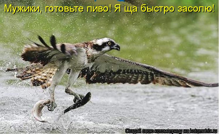 Котоматрица: Мужики, готовьте пиво! Я ща быстро засолю!