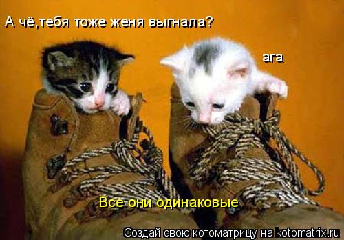 Котоматрица: А чё,тебя тоже женя выгнала? ага Все они одинаковые