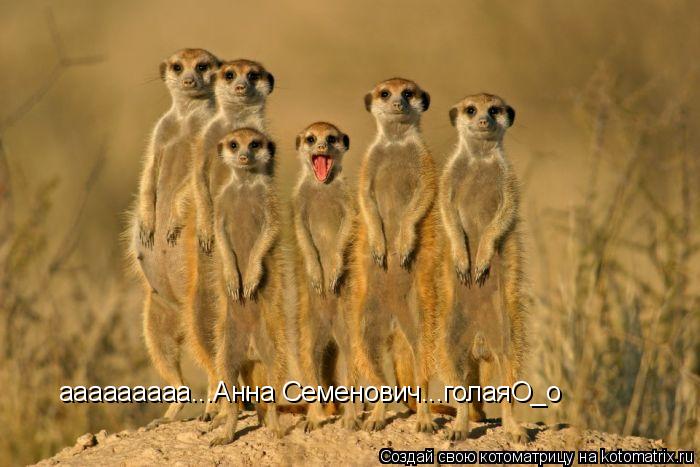 Котоматрица: ааааааааа...Анна Семенович...голаяО_о