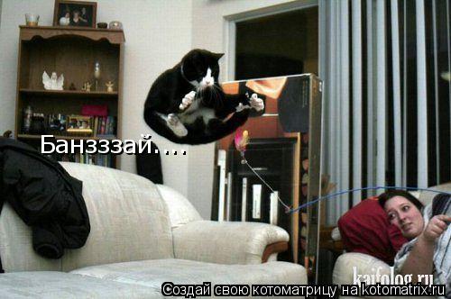 Котоматрица: Банзззай....