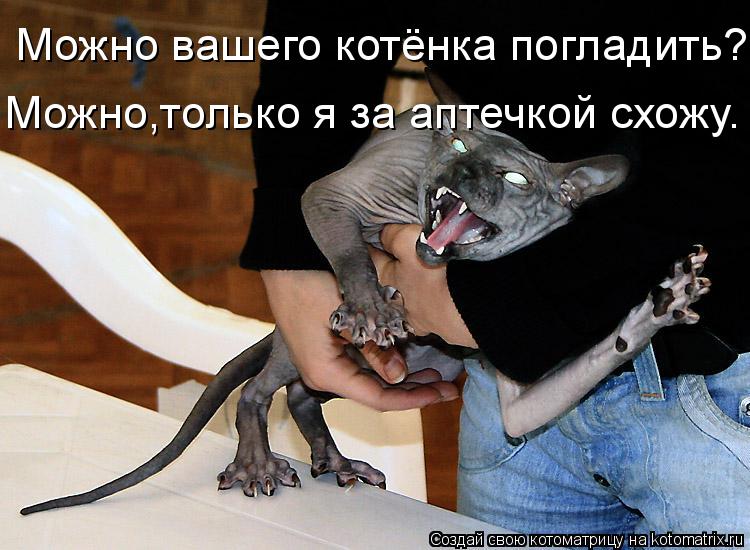 Котоматрица: Можно вашего котёнка погладить? Можно,только я за аптечкой схожу.