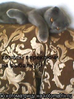 Котоматрица: хозяин, переключи на рыбалку!!!
