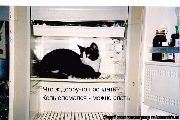 Котоматрица: Что ж добру-то пропдать? Коль сломался - можно спать.