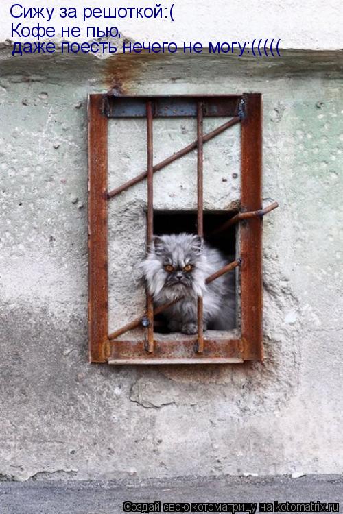 Котоматрица: Сижу за решоткой:( Кофе не пью , даже поесть нечего не могу:((((( даже поесть нечего не могу:(((((
