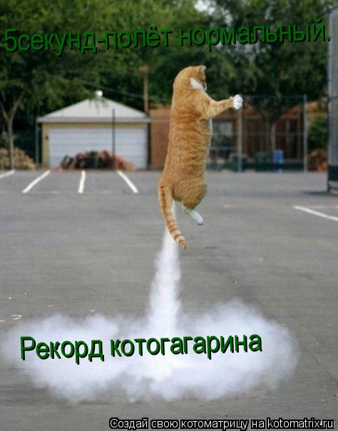 Котоматрица: 5секунд-полёт нормальный. Рекорд котогагарина
