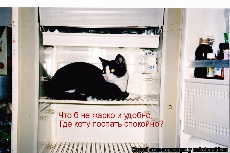 Котоматрица: Что б не жарко и удобно, Где коту поспать спокойно?