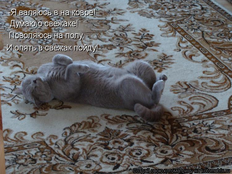 Котоматрица: -Я валяюсь в на ковре! Думаю о свежаке! Поволяюсь на полу, И опять в свежак пойду!