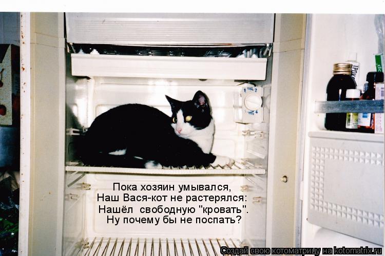 Котоматрица: Пока хозяин умывался, Наш Вася-кот не растерялся: Нашёл  свободную "кровать". Ну почему бы не поспать?
