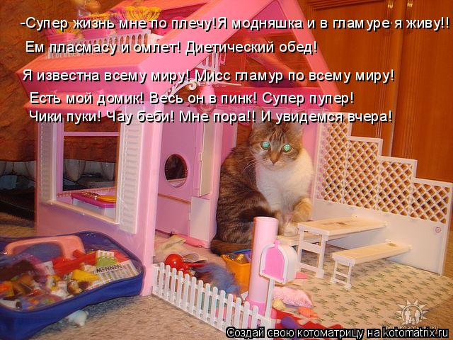 Котоматрица: -Супер жизнь мне по плечу!Я модняшка и в гламуре я живу!! Ем пласмасу и омлет! Диетический обед! Я известна всему миру! Мисс гламур по всему ми