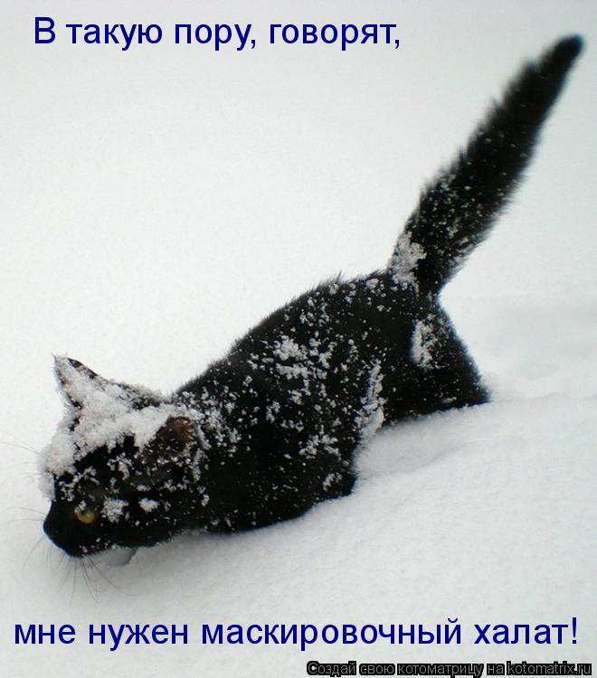 Котоматрица: В такую пору, говорят, мне нужен маскировочный халат!