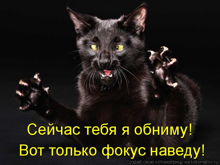 Котоматрица: Сейчас тебя я обниму! Вот только фокус наведу!