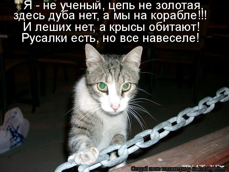 Котоматрица: Я - не ученый, цепь не золотая,  здесь дуба нет, а мы на корабле!!! И леших нет, а крысы обитают! Русалки есть, но все навеселе!