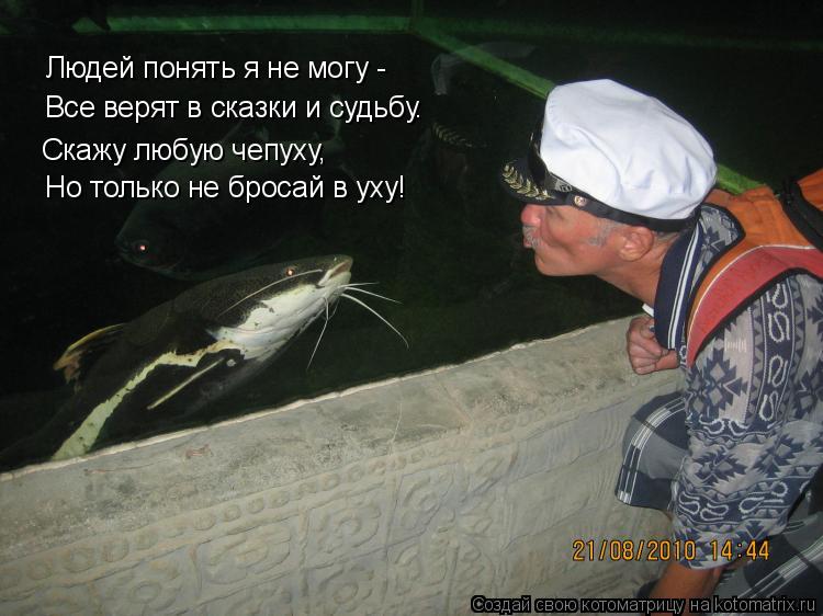 Людей понять я не могу - Все верят в сказки и судьбу. Но только не бросай в уху! Скажу любую чепуху,... Котоматрица: Людей понять я не могу - Все верят в сказки и судьбу. Но только не бросай в уху! Скажу любую чепуху,