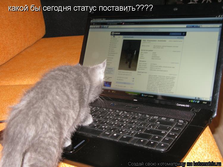 Как поставить в инете