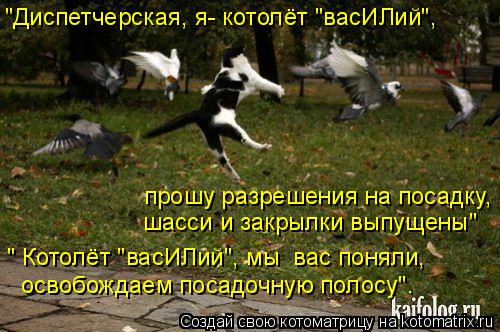Котоматрица: "Диспетчерская, я- котолёт "васИЛий",  прошу разрешения на посадку, шасси и закрылки выпущены" освобождаем посадочную полосу". " Котолёт "васИ