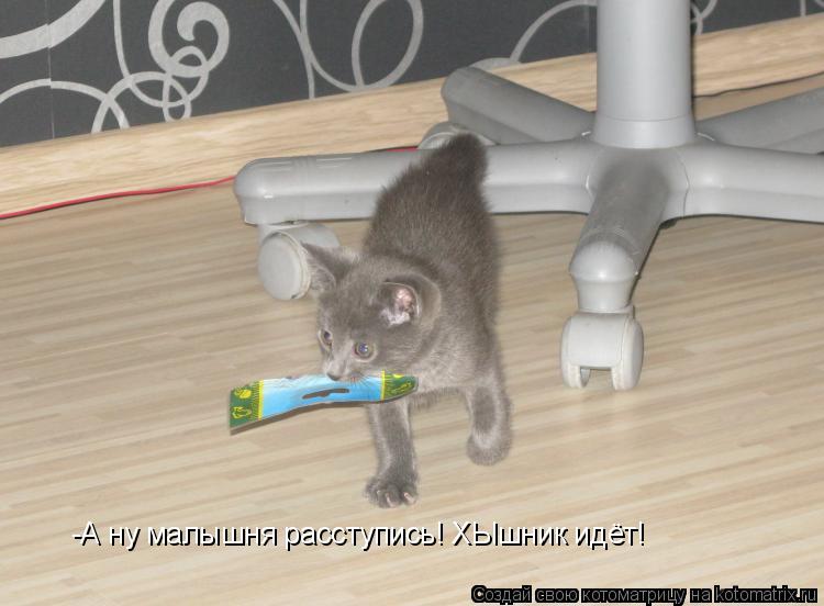 Котоматрица: -А ну малышня расступись! ХЫшник идёт!