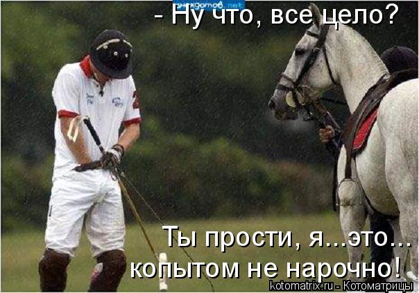 Котоматрица: Ты прости, я...это... копытом не нарочно! - Ну что, все цело?