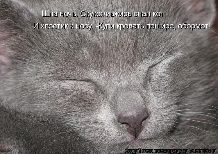Котоматрица: Шла ночь. Скукоживжись спал кот И хвостик к носу. -Купи кровать пошире, обормот!