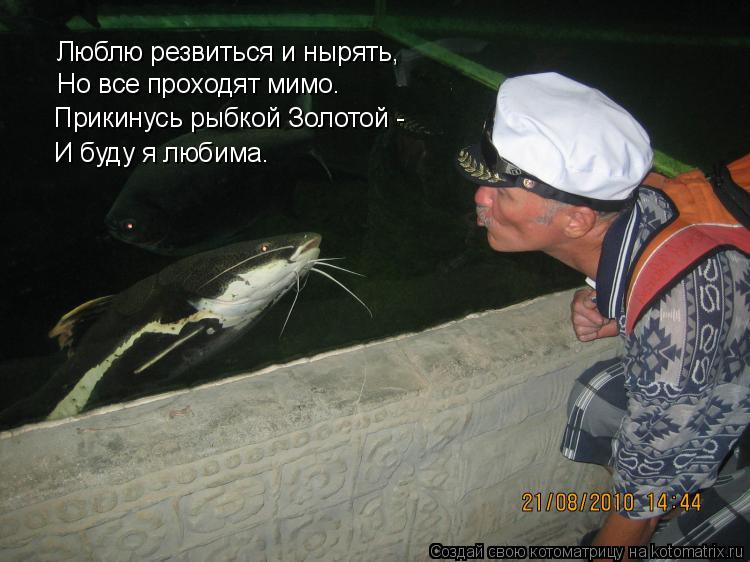 Люблю резвиться и нырять, Но все проходят мимо. Прикинусь рыбкой Золотой - И буду я любима.... Котоматрица: Люблю резвиться и нырять, Но все проходят мимо. Прикинусь рыбкой Золотой - И буду я любима.