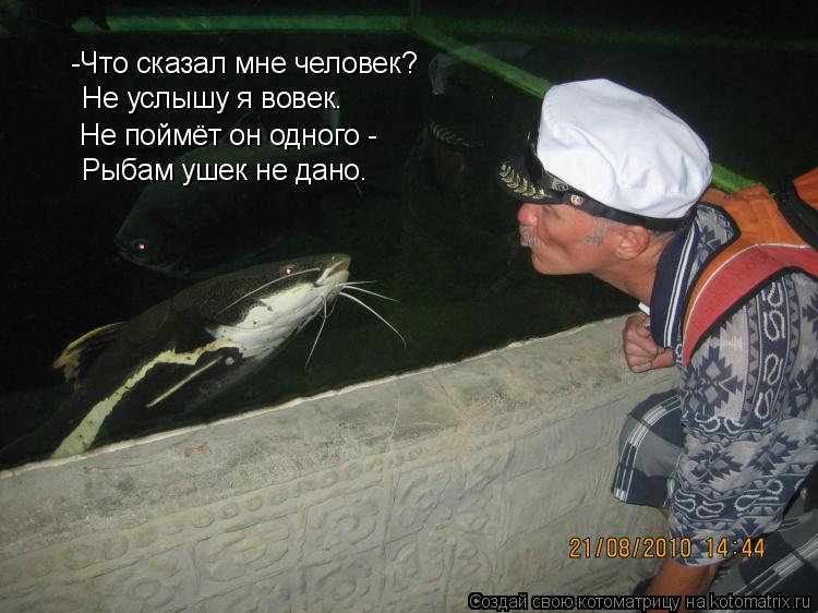 Котоматрица: -Что сказал мне человек? Не услышу я вовек. Рыбам ушек не дано. Не поймёт он одного -