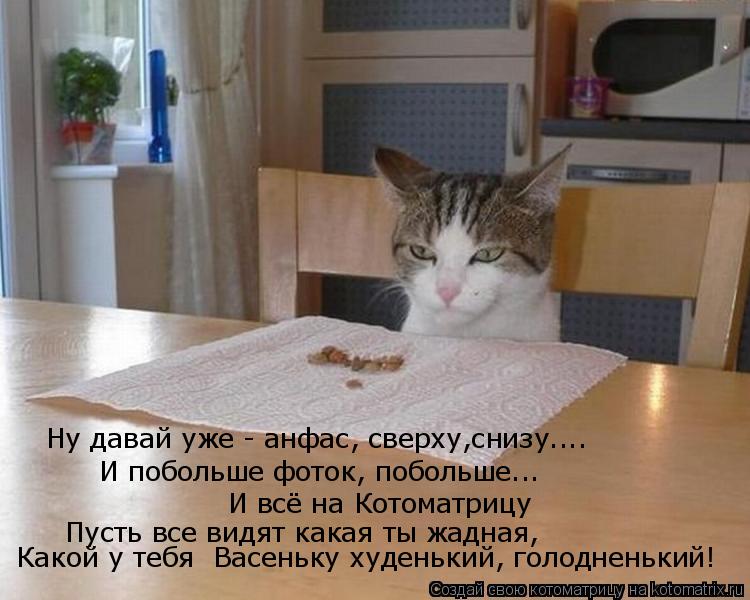 Котоматрица: Ну давай уже - анфас, сверху,снизу.... И побольше фоток, побольше... И всё на Котоматрицу  Пусть все видят какая ты жадная,  Какой у тебя  Васеньк