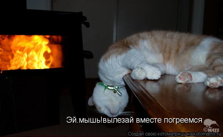 Котоматрица: Эй.мышь!вылезай вместе погреемся