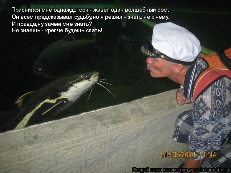 Котоматрица: Он всем предсказывал судьбу,но я решил - знать не к чему. И правда,ну зачем мне знать? Не знаешь - крепче будешь спать! Приснился мне однажды с