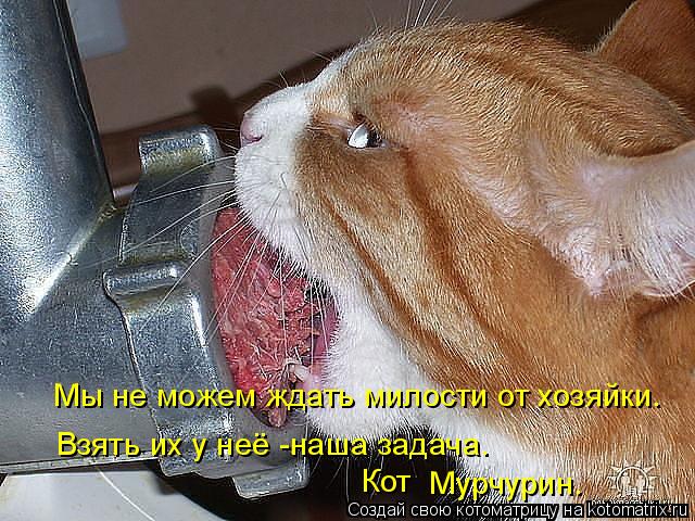 Котоматрица: Мы не можем ждать милости от хозяйки. Взять их у неё -наша задача. Мурчурин. Кот
