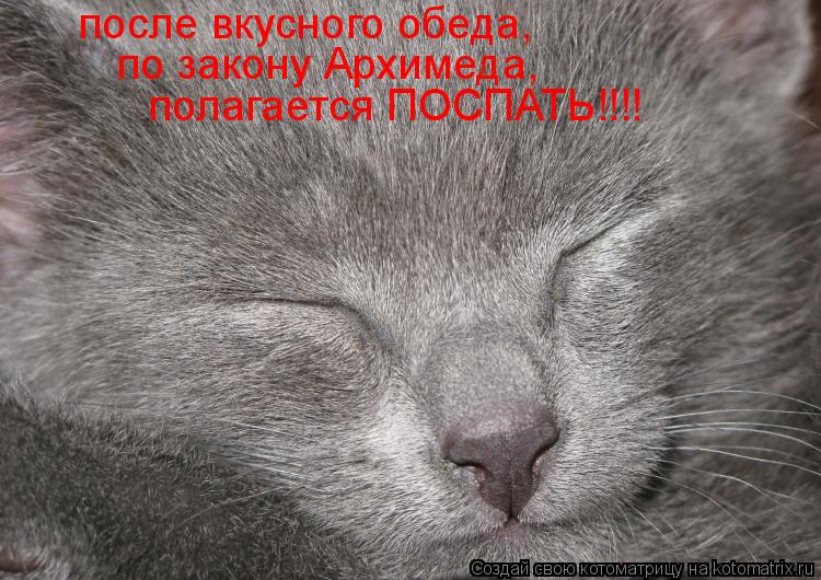 после плотного обеда по закону архимеда