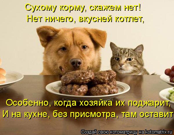 Котоматрица: Сухому корму, скажем нет! Нет ничего, вкусней котлет, Особенно, когда хозяйка их поджарит, И на кухне, без присмотра, там оставит!
