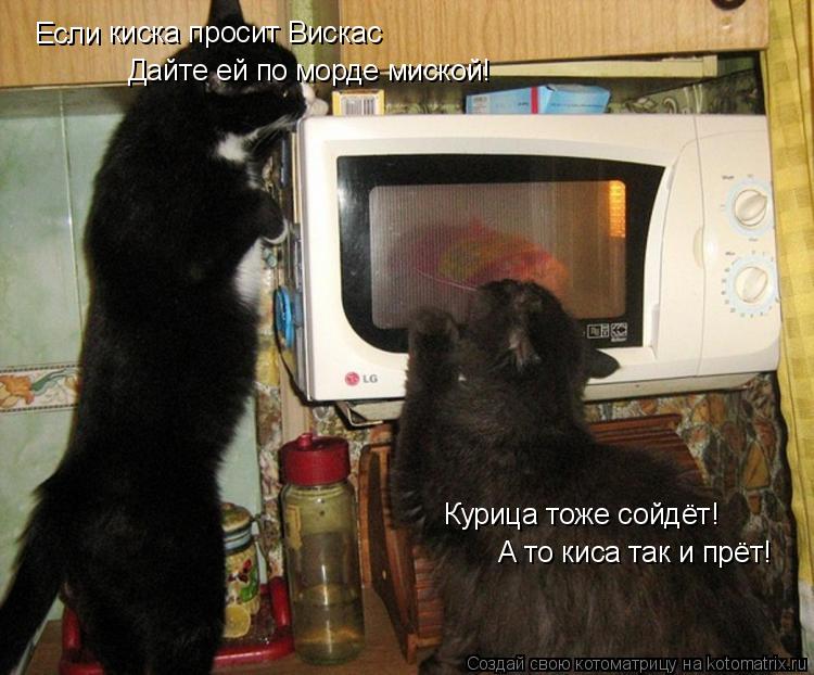 Если киска просит Вискас Дайте ей по морде миской! Курица тоже сойдёт! А то киса так и прёт!... Котоматрица: Если киска просит Вискас Дайте ей по морде миской! Курица тоже сойдёт! А то киса так и прёт!