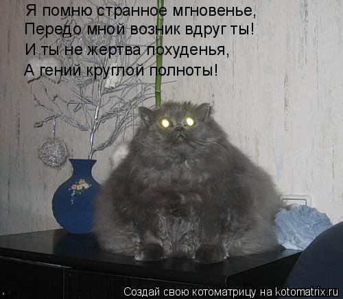 Я помню странное мгновенье, Передо мной возник вдруг ты! И ты не жертва похуденья, А гений круглой по... Котоматрица: Я помню странное мгновенье, Передо мной возник вдруг ты! И ты не жертва похуденья, А гений круглой полноты!