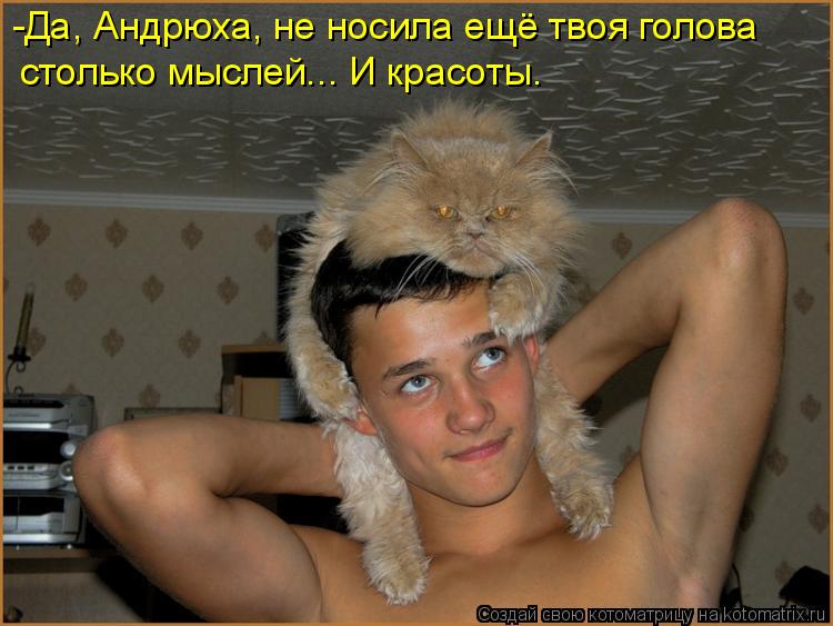 -Да, Андрюха, не носила ещё твоя голова столько мыслей... И красоты.... Котоматрица: -Да, Андрюха, не носила ещё твоя голова столько мыслей... И красоты.