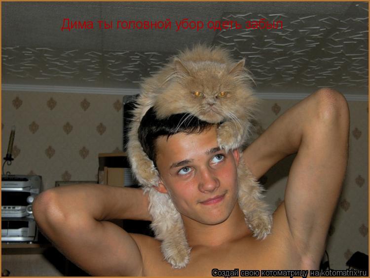 Котоматрица: Дима ты головной убор одеть забыл