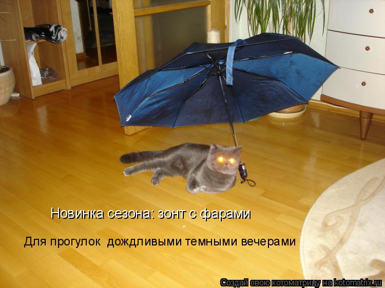Котоматрица: Новинка сезона: зонт с фарами  Для прогулок  дождливыми темными вечерами